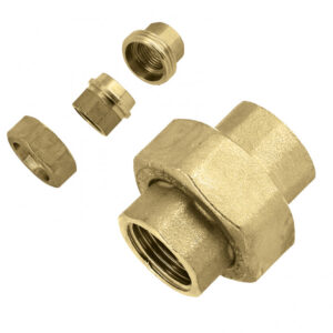 Ρακόρ Κώνικο Θηλυκό - Θηλυκό