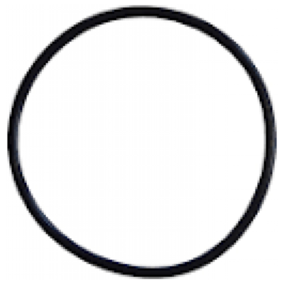 PROTEAS EW-013-0384 O-Ring για Λευκή Φιλτροθήκη 2Μ 10"