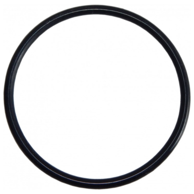 PROTEAS EW-021-0687 O-Ring Γυάλας Φιλτροθήκης Big Blue 20"